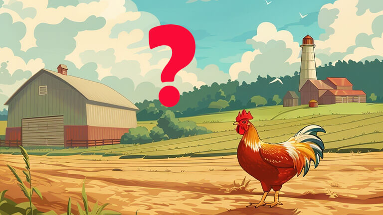 Frequently asked questions about chicken farming